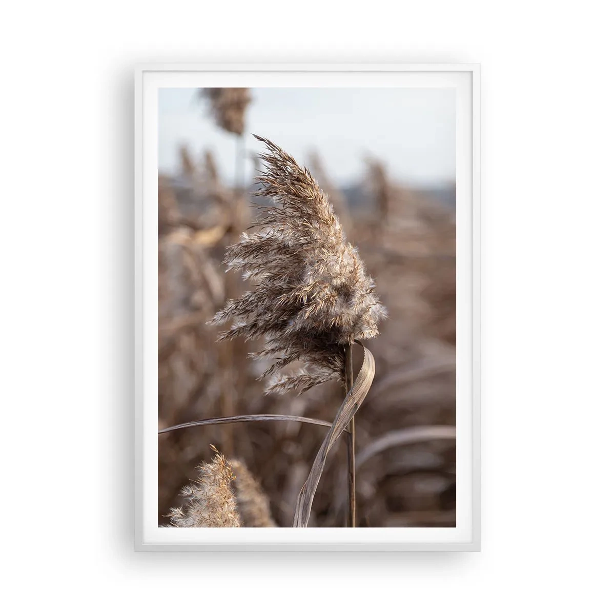 Poszter fekete keretben - Ideje elrepülni a széllel - 70x100 cm