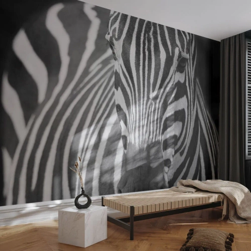 Fotótapéta Premium Canvas - A világ fekete-fehér - Állatok, Borda, Fekete és fehér - 250x175 cm