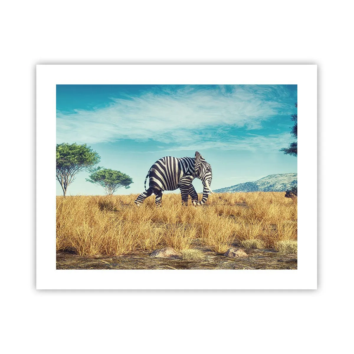 Poszter - A szürke már nem menő - 50x40 cm