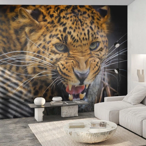 Fotótapéta Premium Canvas - Maradj távol, figyelmeztetlek! - Állatok, leopárd, Vadmacska - 500x350 cm