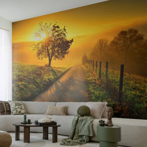 Fotótapéta Premium Sand - Mézes délután - Tájkép, Földút, Rét - 100x70 cm