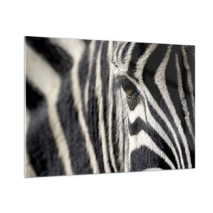 Üveg kép - Csíkos portré - 100x70 cm