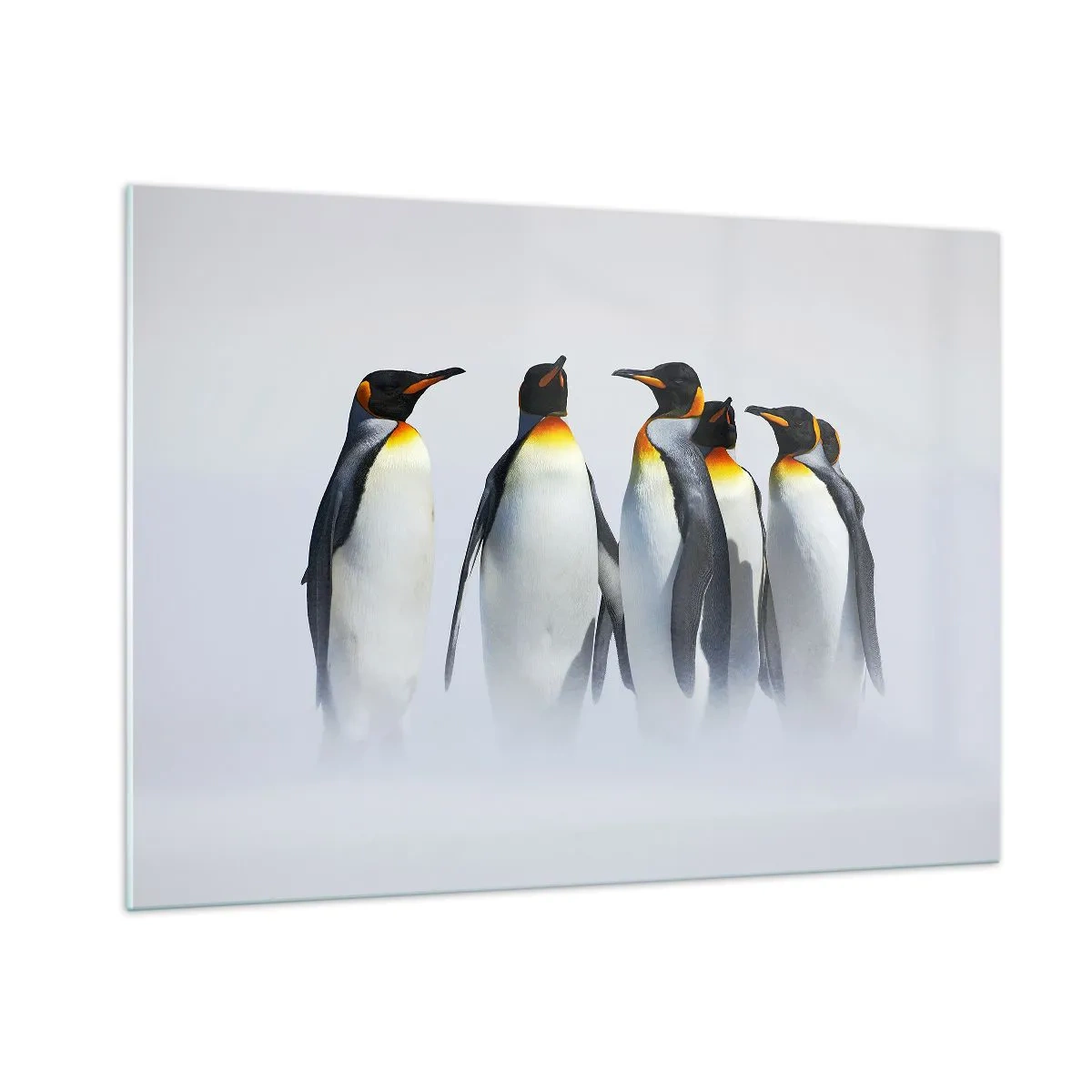 Üveg kép - Találkozás éjszakai ruhában - 100x70 cm