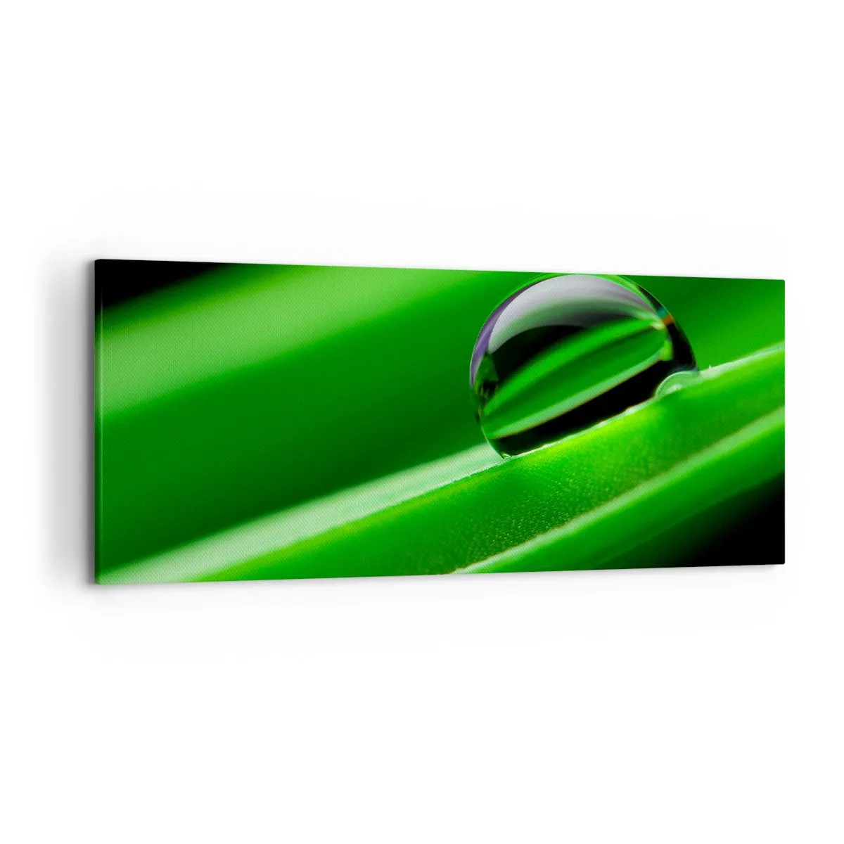Vászonkép - Élet közelről - 120x50 cm
