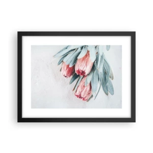 Poszter fehér keretben - Szégyellve saját szépségüket - 40x30 cm