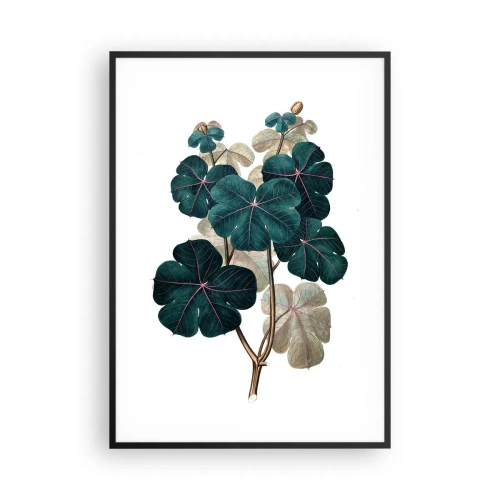 Poszter fehér keretben - Egy régi herbáriumból - 70x100 cm