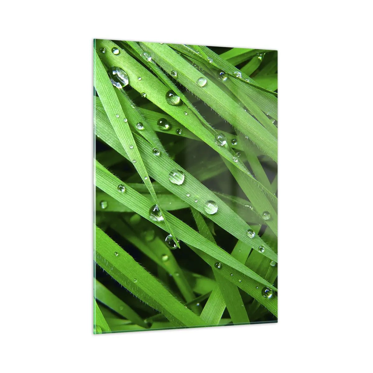 Üveg kép - Játssz zöldet - 50x70 cm