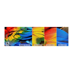 Fotótapéta Minta Premium Canvas - Paradicsom madár - Színes tollak, Papagáj tollak, Állatok - 100x30 cm