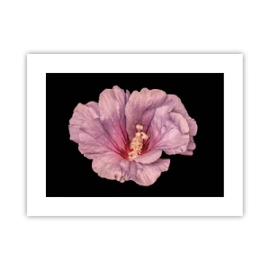 Poszter - Egyenesen a szív felé - 40x30 cm