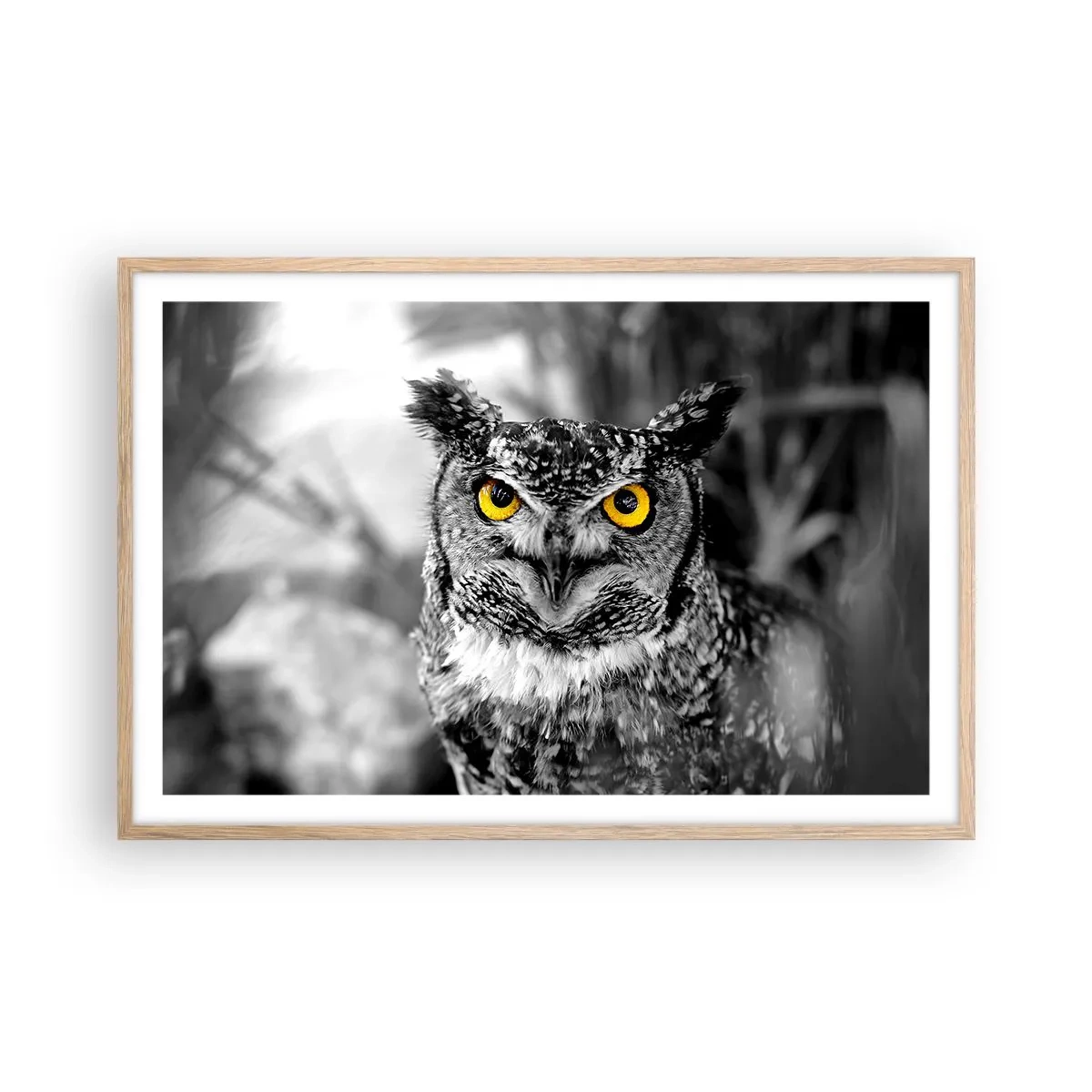 Poszter világos tölgy keretben - Semmi sem fog elbújni - 91x61 cm