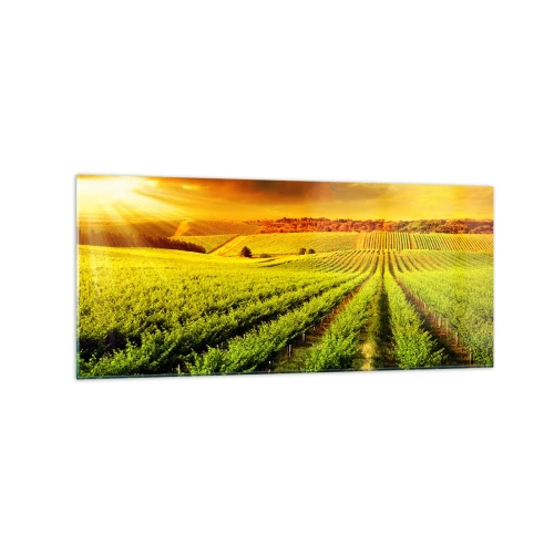 Üveg kép - Ausztrál nap alatt - 120x50 cm
