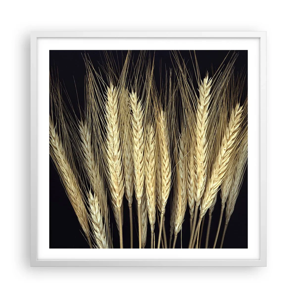 Poszter fekete keretben - Rusztikus varázslat - 60x60 cm