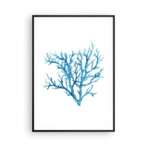 Poszter fehér keretben - Tengeri filigrán - 70x100 cm