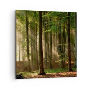 Vászonkép - Ragyogó tavaszi reggelen - 50x50 cm