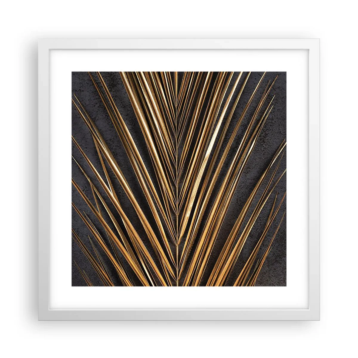 Poszter fekete keretben - A trópusok aranya - 40x40 cm