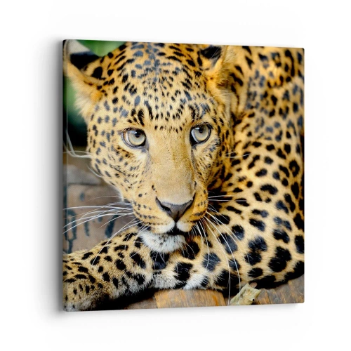 Vászonkép - Ne félj, gyere - 40x40 cm