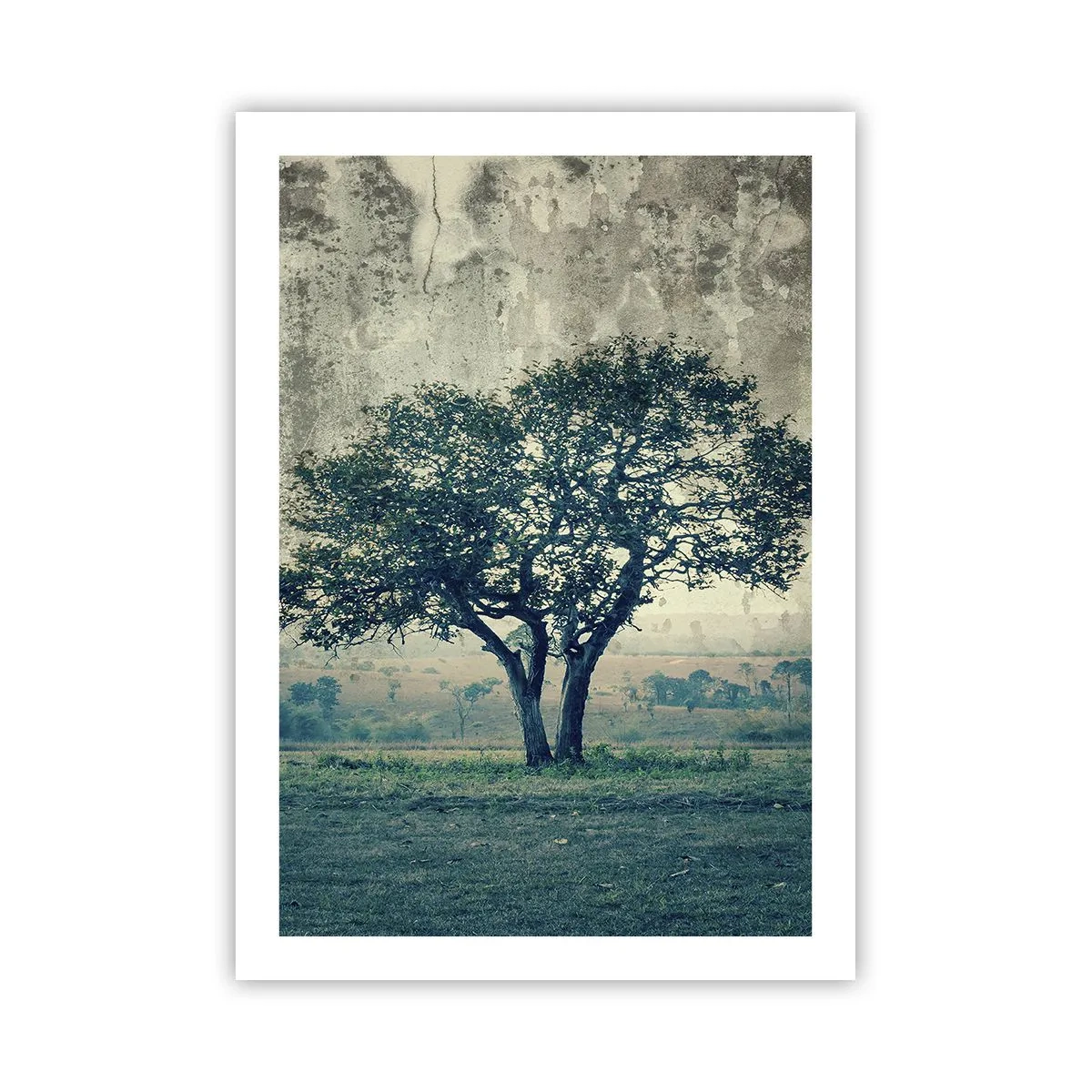 Poszter - Almafa a kék mezőn? - 50x70 cm