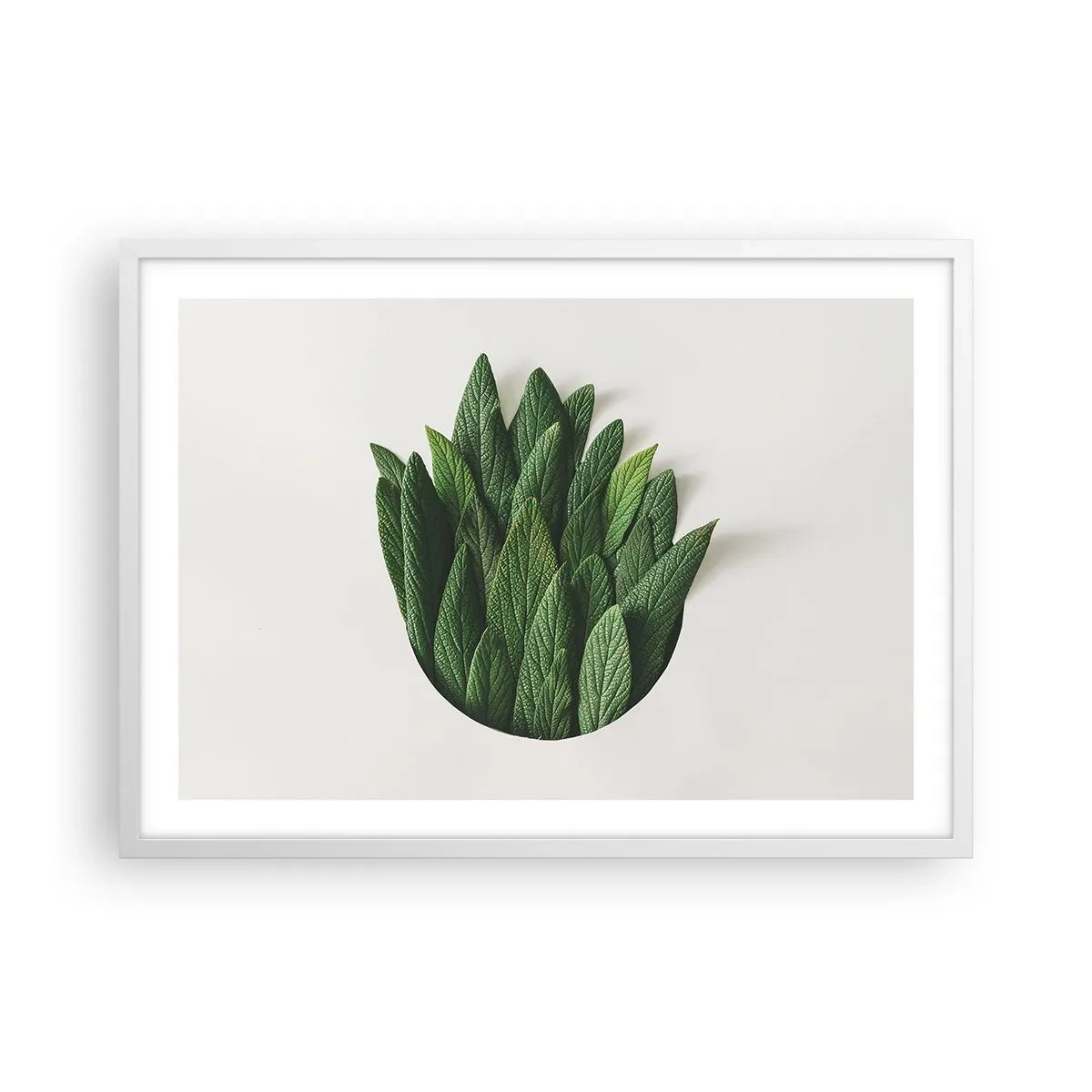 Poszter fekete keretben - Féktelen kíváncsiság - 70x50 cm