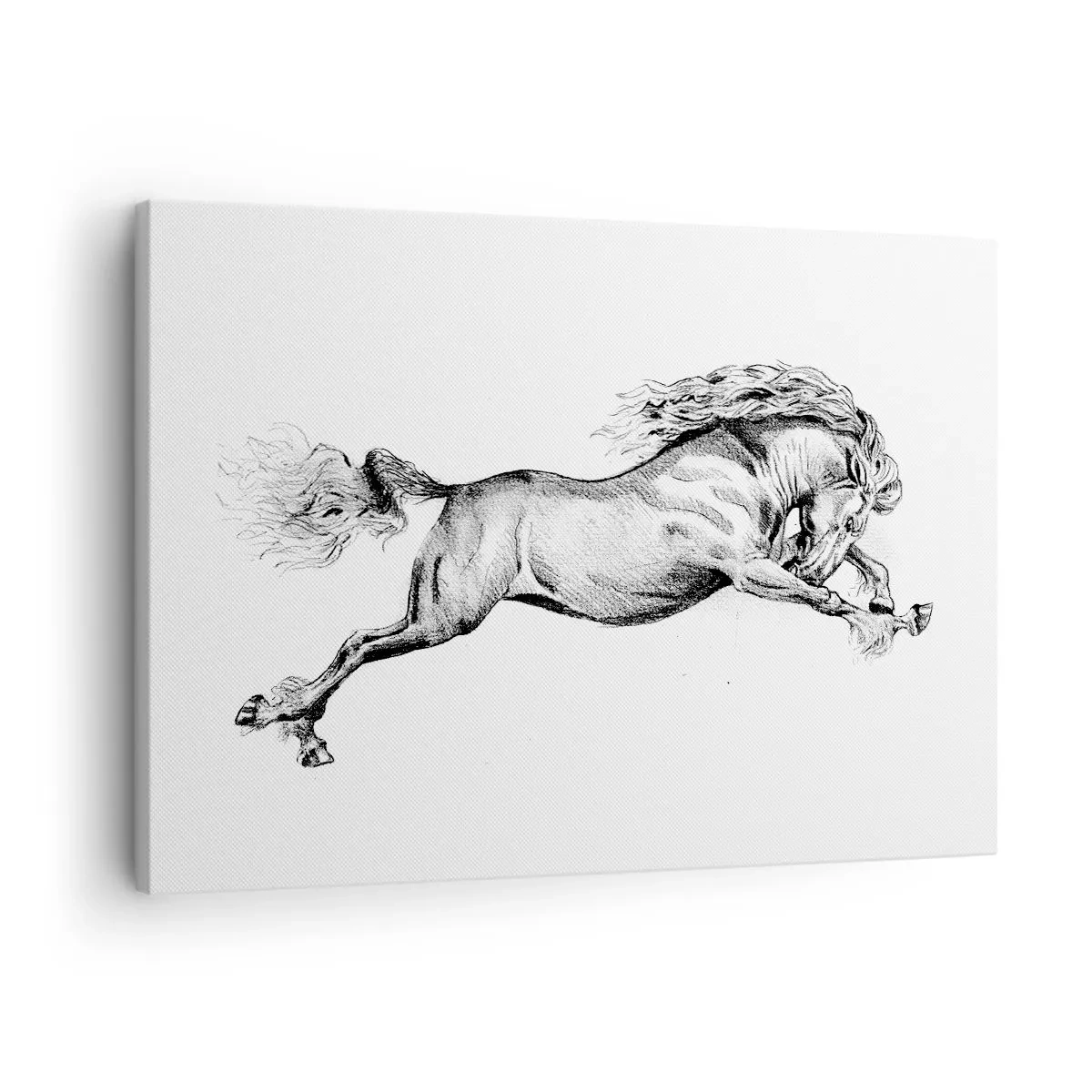 Vászonkép - Vázlat egy lóról, aki dinamikus vágtában van fehér alapon - 70x50cm - Vágtában megállítva - Modern fali dekoráció nappalihoz és hálószobához ARTTOR
