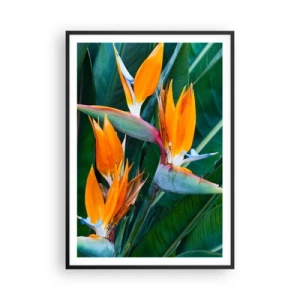 Poszter fehér keretben - Virág vagy madár? - 70x100 cm