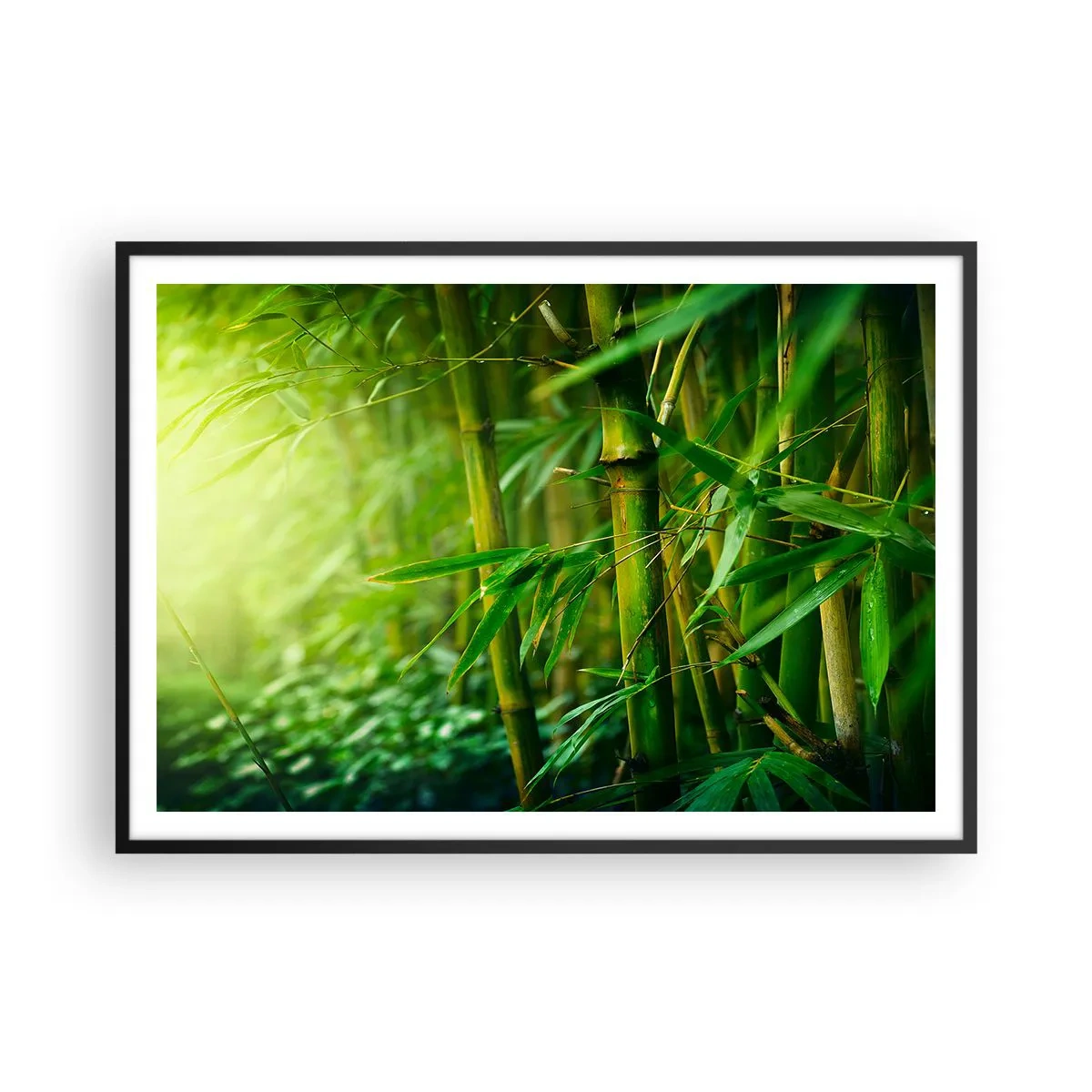 Poszter fehér keretben - Megismerni magát a zöldet - 100x70 cm