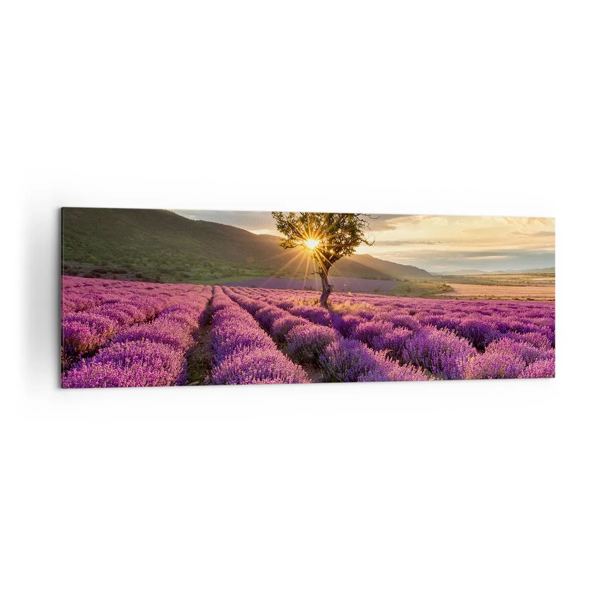 Vászonkép - Lila színű illat - 160x50 cm