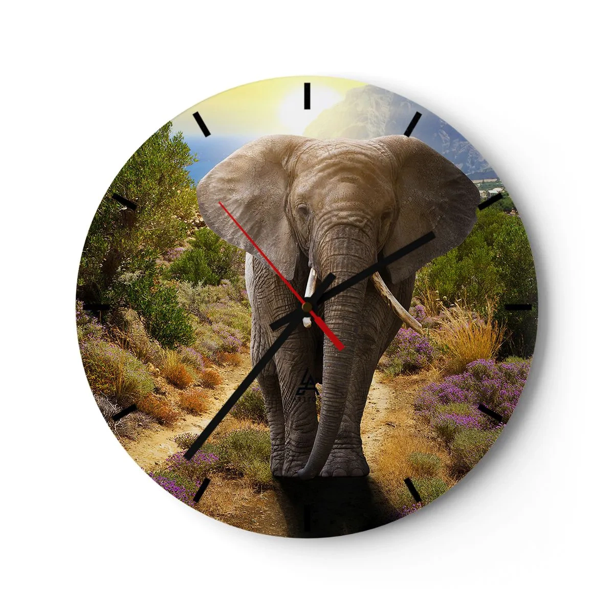 Falióra, Óra - Így nézett ki Eden - 40x40 cm