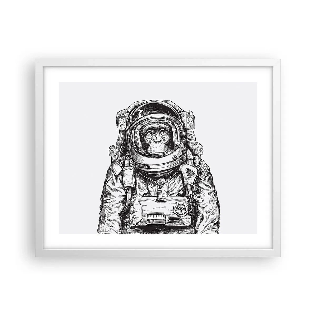 Poszter fekete keretben - Alternatív evolúció - 50x40 cm