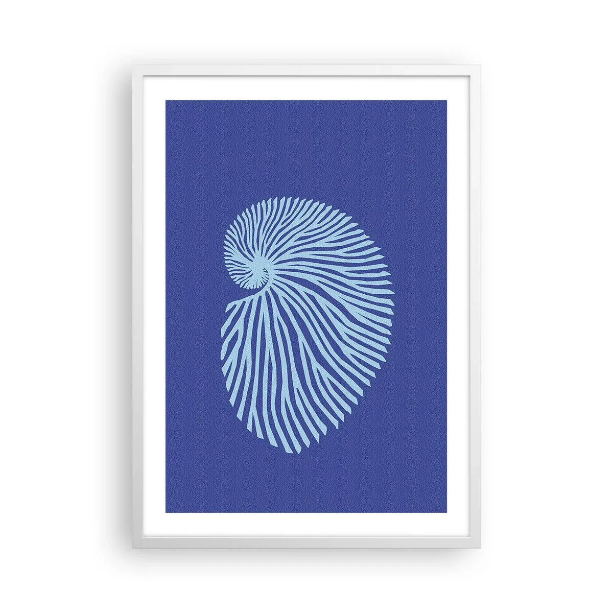 Poszter fekete keretben - Egy kagyló születése - 50x70 cm