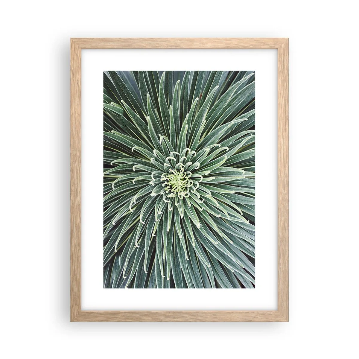 Poszter világos tölgy keretben - Csillag születik - 30x40 cm