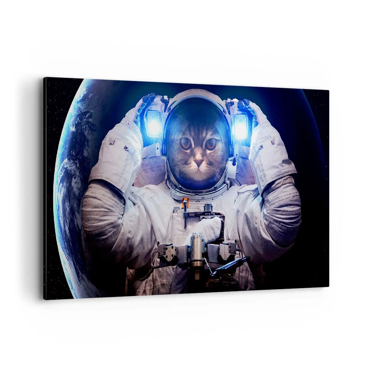 Vászonkép - Houston, baj van - 120x80 cm