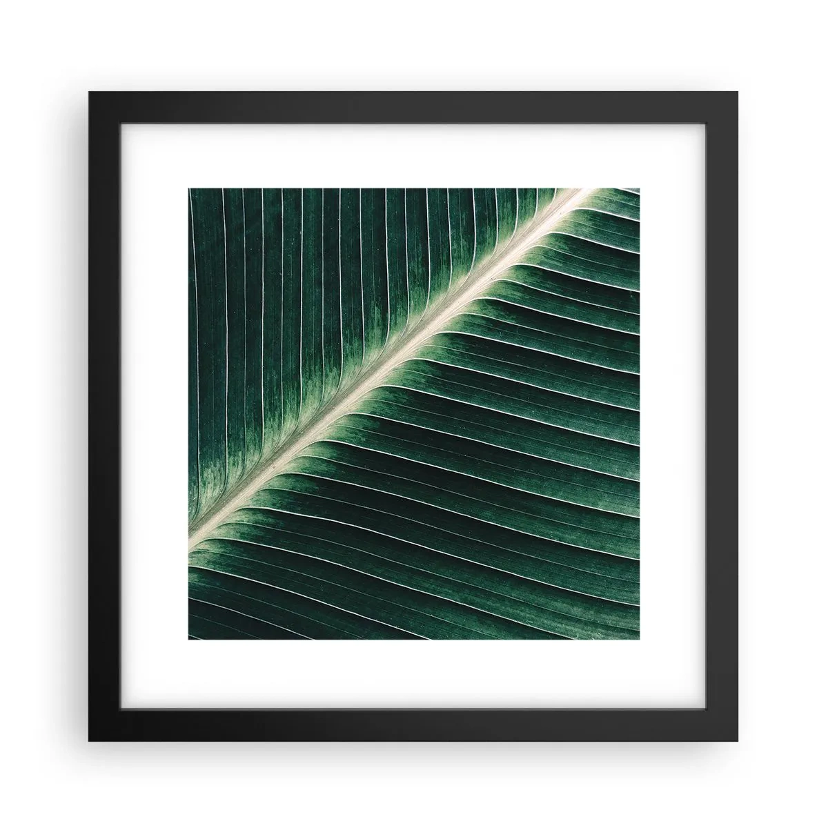 Poszter fehér keretben - A természet ritmusa - 30x30 cm