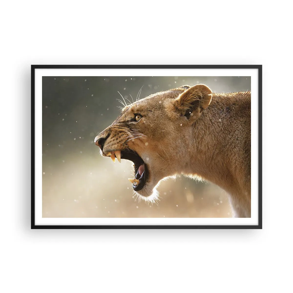 Poszter fehér keretben - Próbálj meg nem hallgatni - 100x70 cm