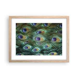 Poszter világos tölgy keretben - Pávaszemű pillantás - 40x30 cm