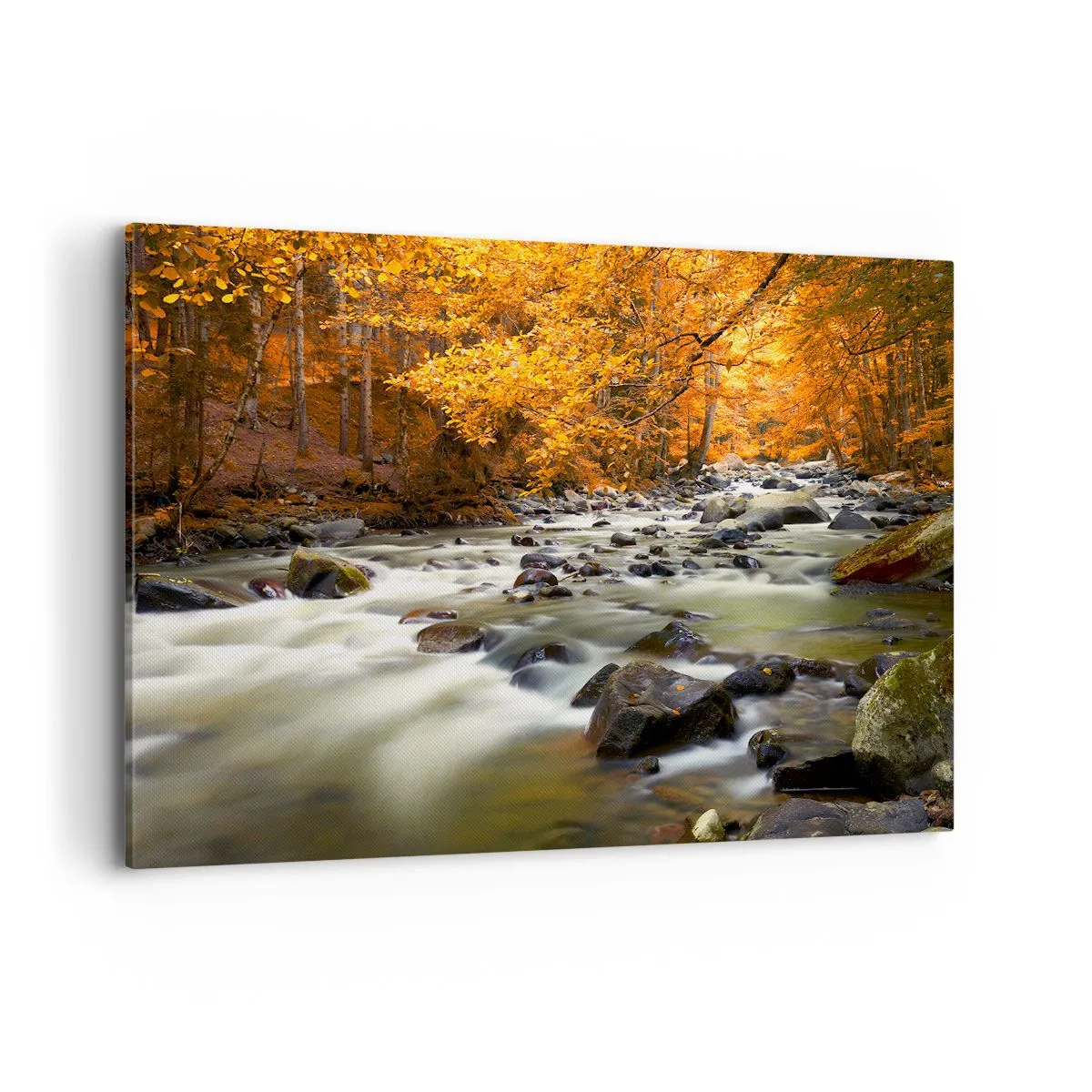 Vászonkép - Egy patak az aranyerdőben - 120x80 cm