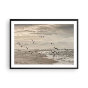 Poszter fehér keretben - A tenger hangja, a madarak éneke - 70x50 cm