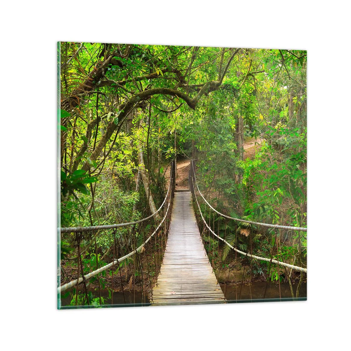 Üveg kép - Mert van egy kúszónövény a kertben - 40x40 cm