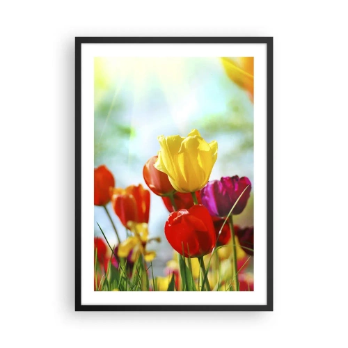 Poszter fehér keretben - Színes tulipánok a napsütésben - 50x70cm - A nap minden színe - Modern fali dekoráció nappalihoz és hálószobához ARTTOR
