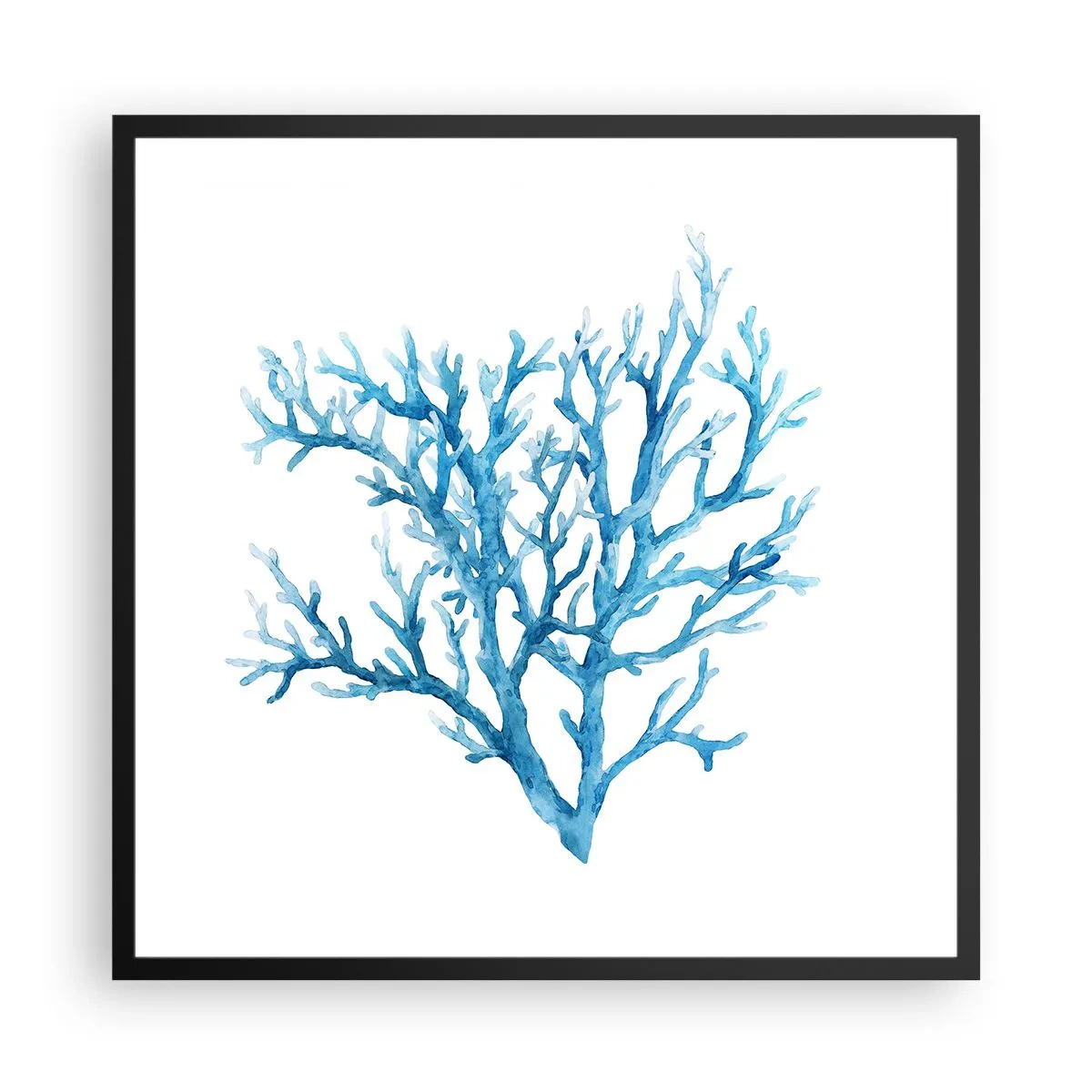 Poszter fehér keretben - Tengeri filigrán - 60x60 cm