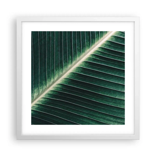 Poszter fekete keretben - A természet ritmusa - 40x40 cm