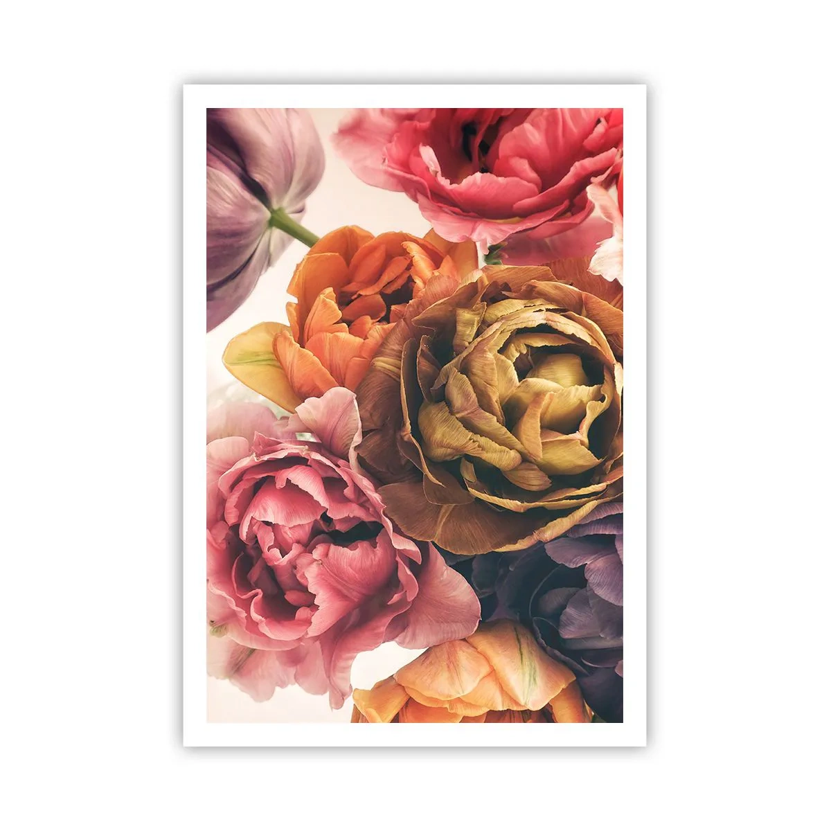 Poszter - Az élet ünnepe - 70x100 cm