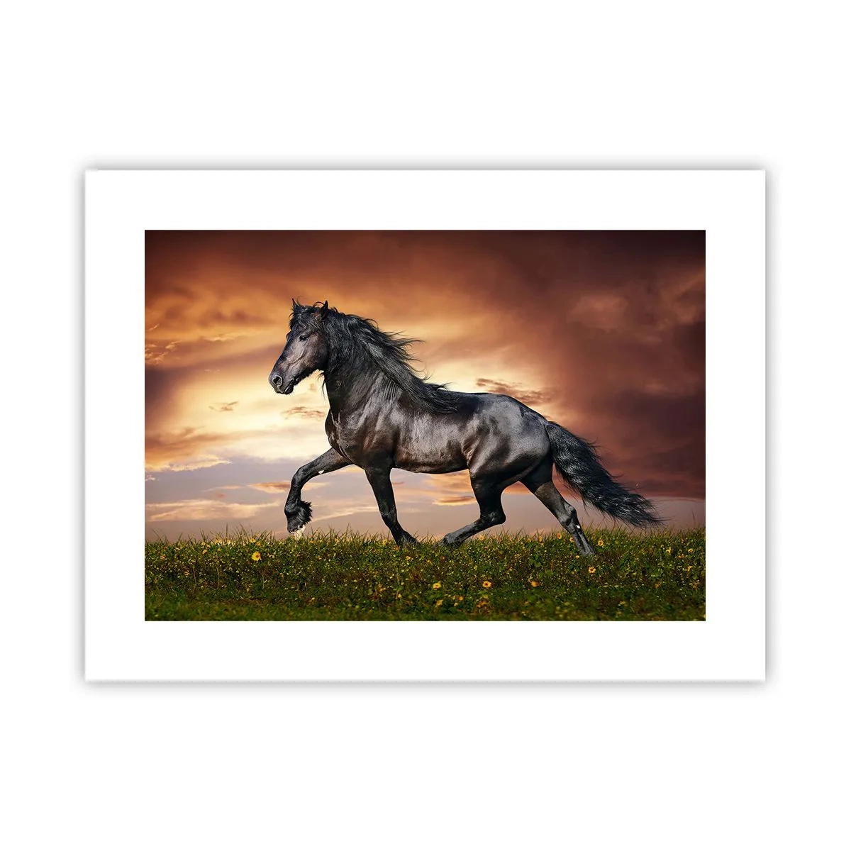 Poszter - Fekete herceg - 40x30 cm