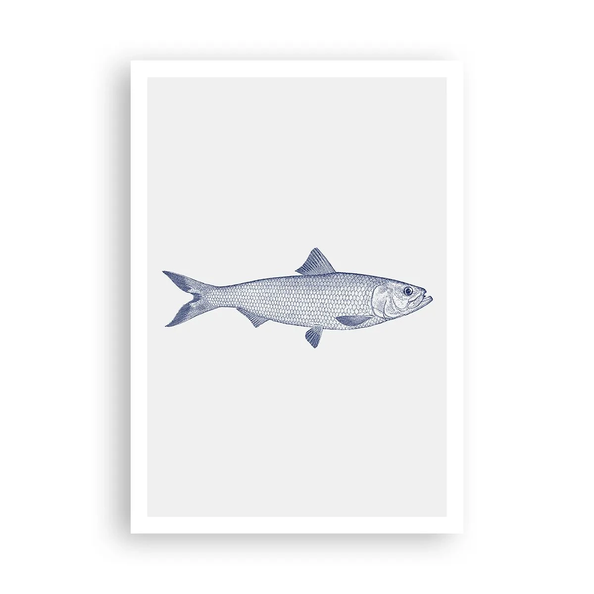 Poszter - Üdvözlet az északi tengerektől - 70x100 cm