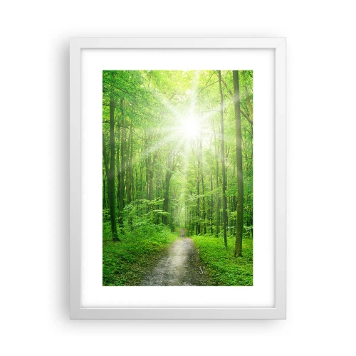 Poszter fekete keretben - A zöld katedrális - 30x40 cm