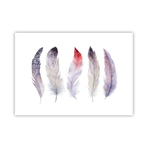 Poszter - Gyengéd, mint a sokszínű köd - 100x70 cm