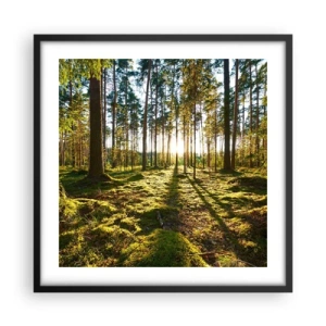 Poszter fehér keretben - … A hét erdőn túl - 50x50 cm