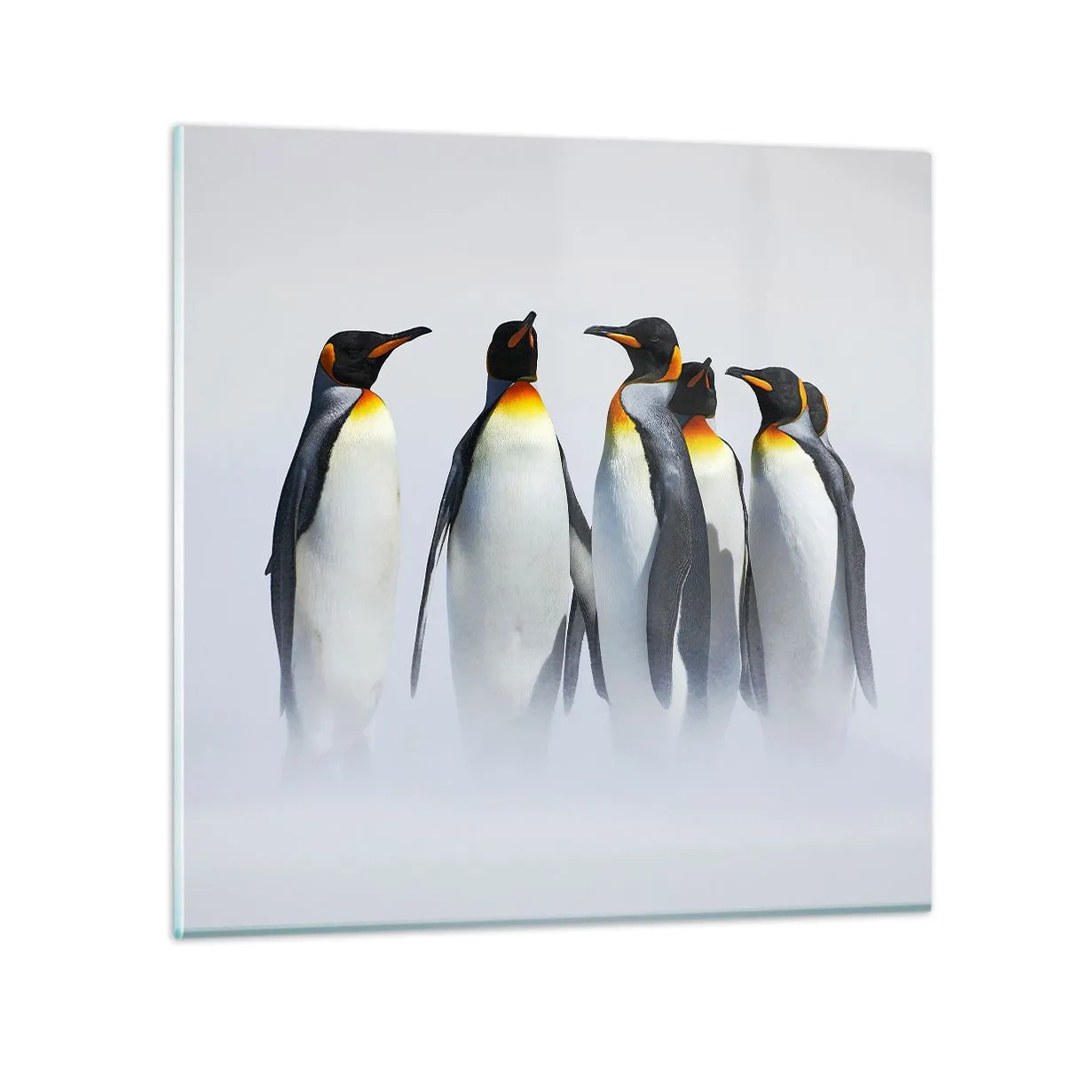 Üveg kép - Találkozás éjszakai ruhában - 40x40 cm