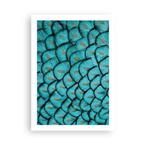 Poszter - A tollak nagy gálája - 50x70 cm