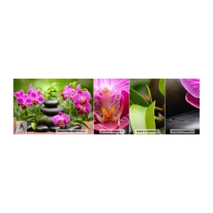 Fotótapéta Minta Standard Eco - A béke piramisa - Virágok, Orchidea, Orchidea - 100x30 cm