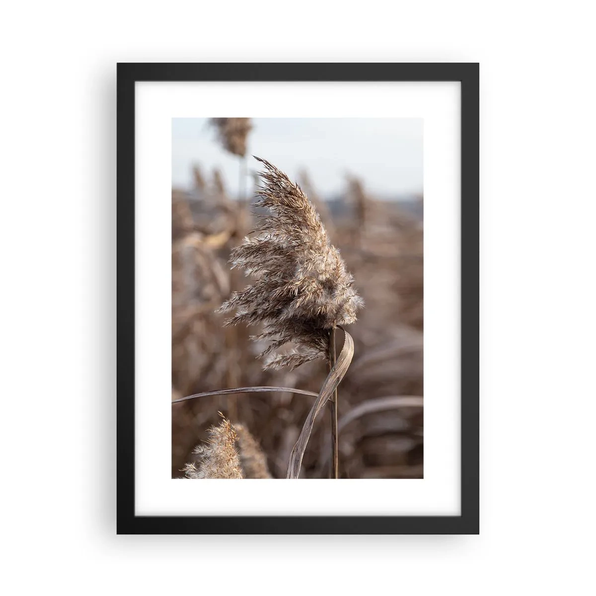 Poszter fehér keretben - Ideje elrepülni a széllel - 30x40 cm